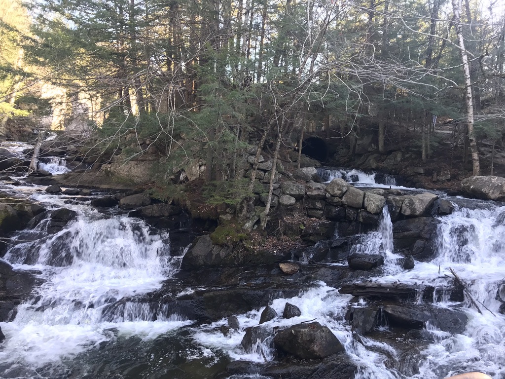 Gatineau Park