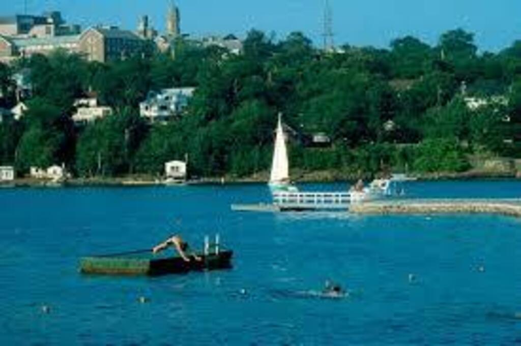 Northwest Arm - at the end of our street