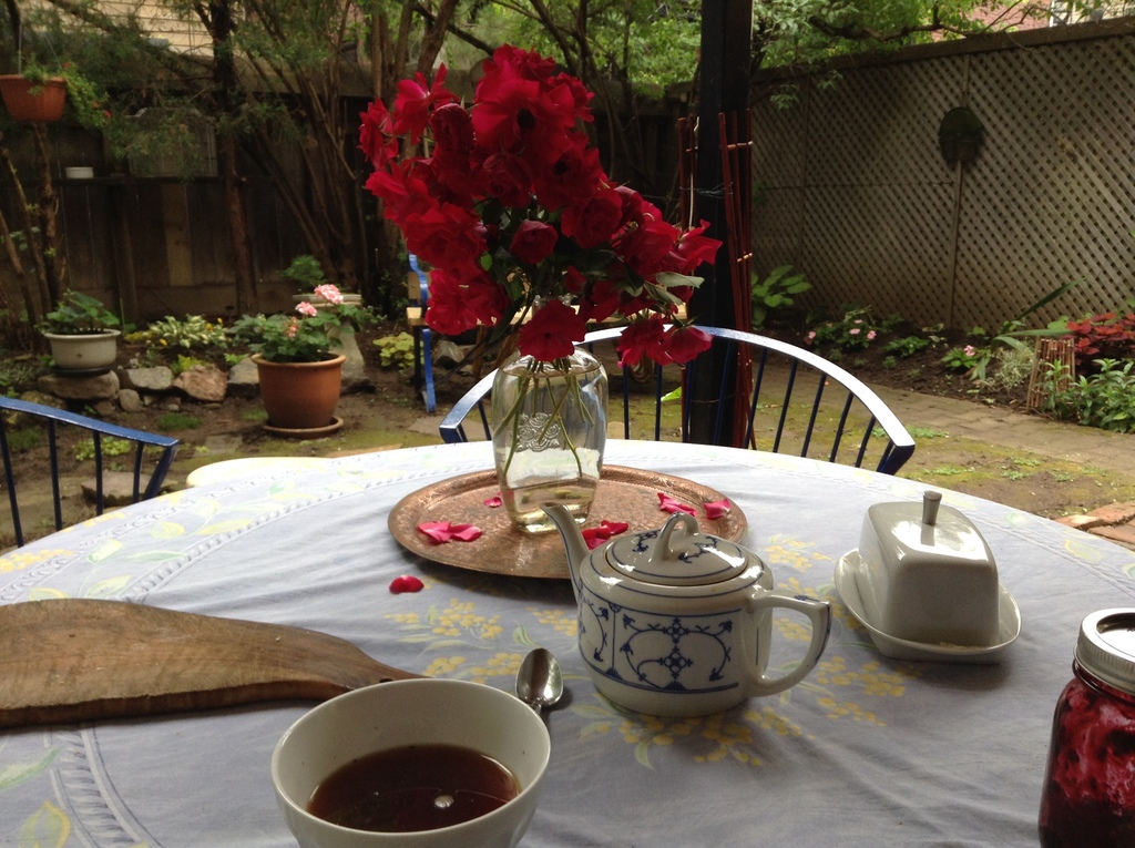 Garden  and yard / jardin et cour