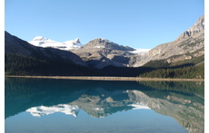 Rockies