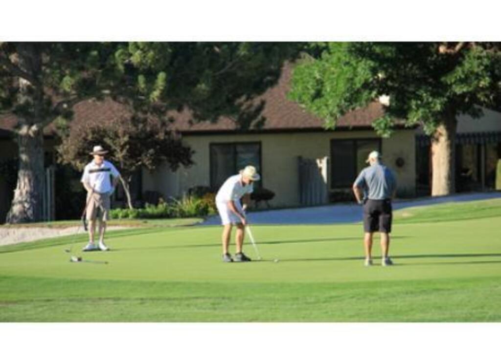 Many outstanding Golf Courses in the Okanagan Valley