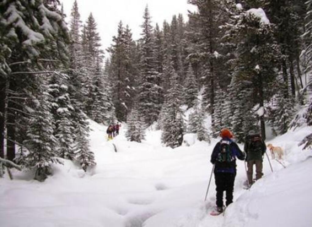 Many snowshoeing and X-country trails