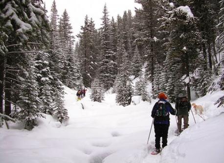 Many snowshoeing and X-country trails