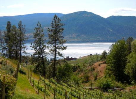 The Okanagan Valley is famous for it's wine and beautiful vinyards
