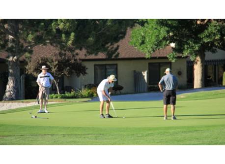 Many outstanding Golf Courses in the Okanagan Valley