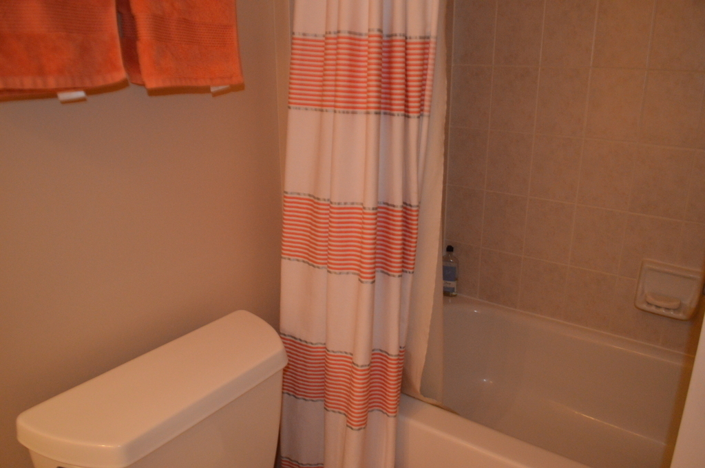 Second view of the guest bathroom