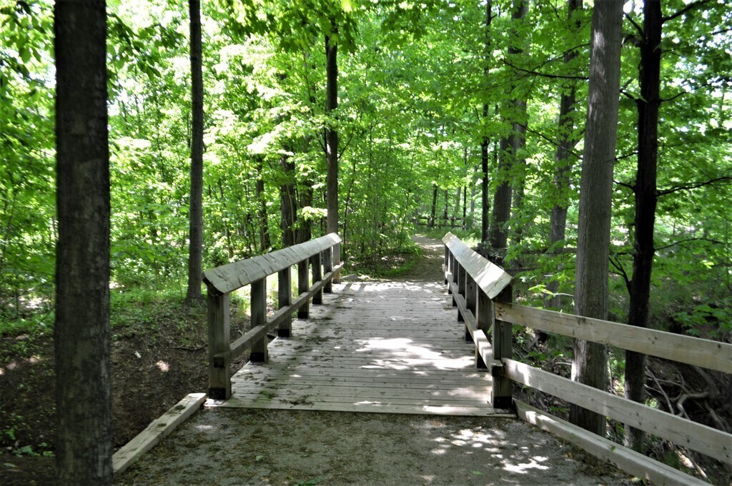 Walking trail