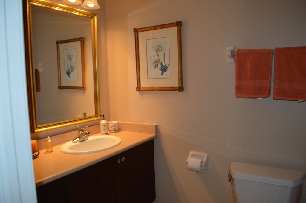 2nd floor guest bathroom