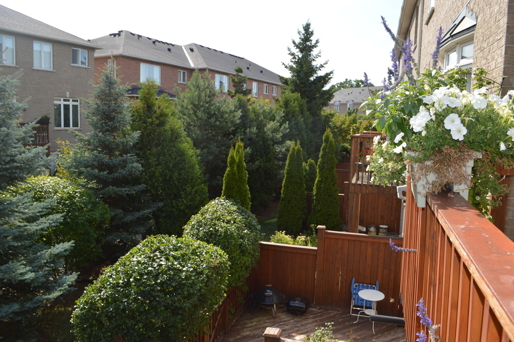 View from the 2nd floor deck.