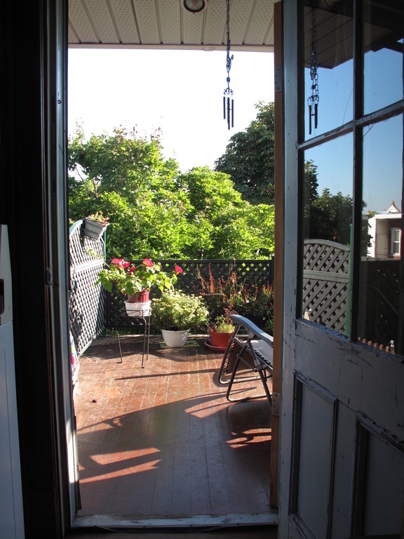 Terrace surrounded by trees / Terrasse entourée d'arbres