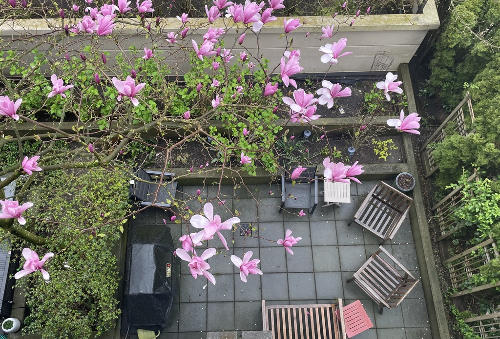 Outdoor patio area in the spring.