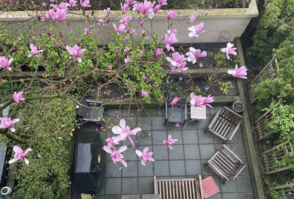 Outdoor patio area in the spring.
