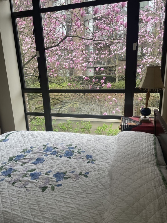 Second bedroom in the spring.  Magnolia blossoms.