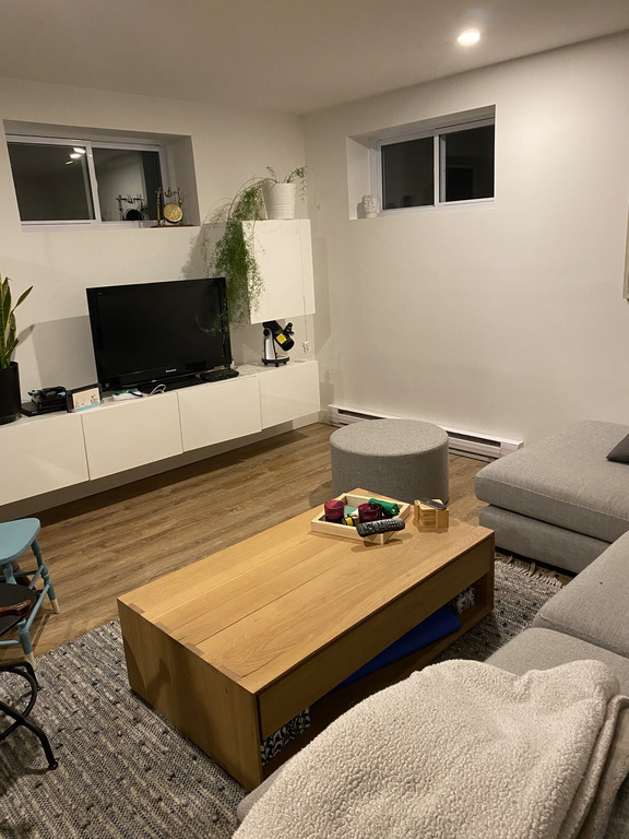 Living room in the basement