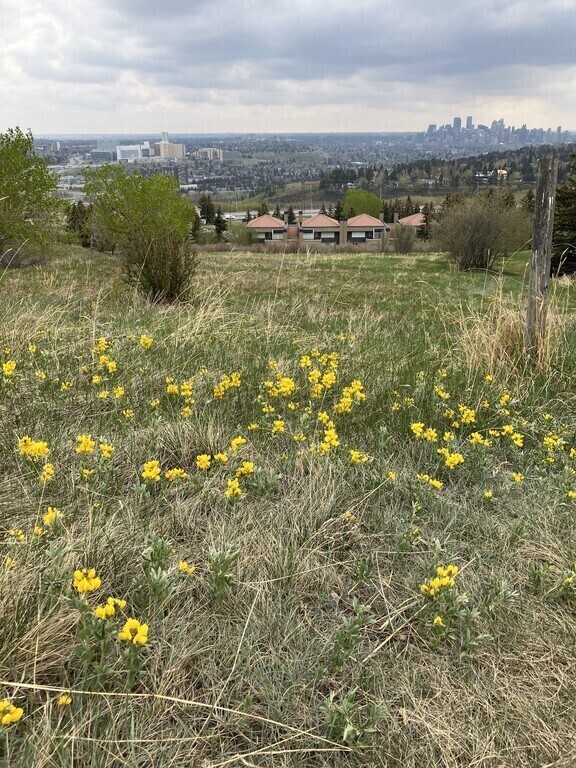 View from pathway near house