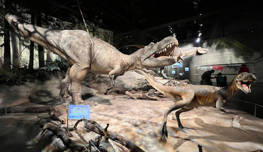 Royal Tyrell Museum in Drumheller