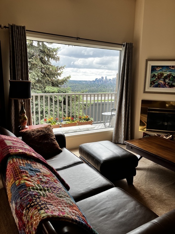 View from living room 