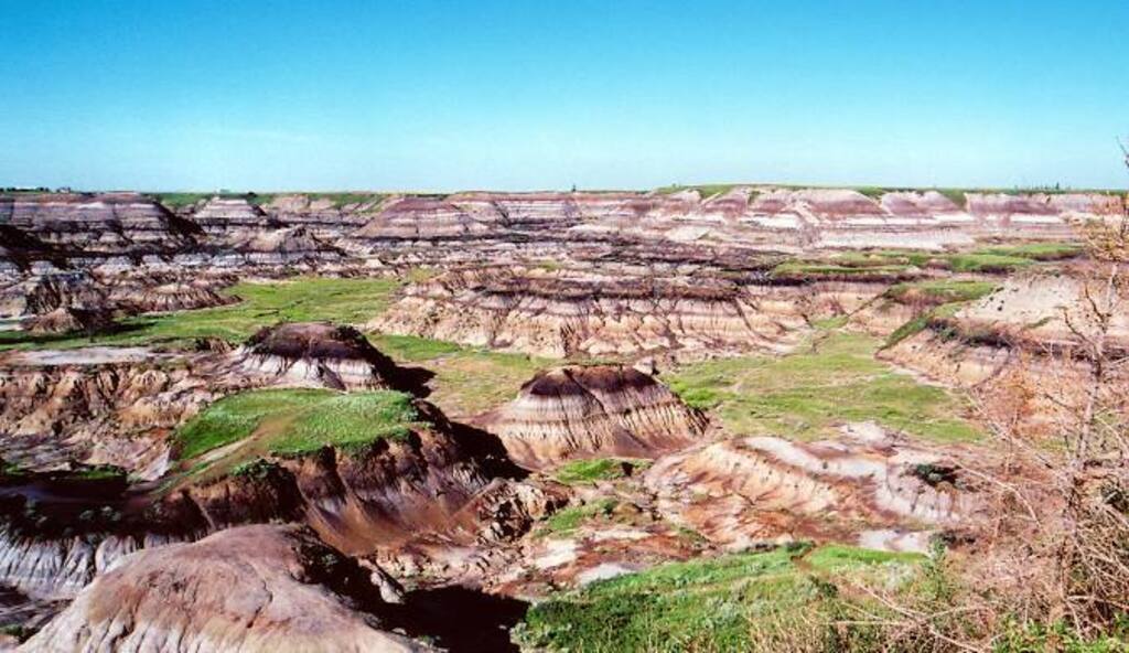 Horseshoe Canyon - just north east of Calgary