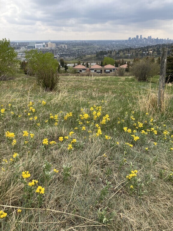 View from pathway near house
