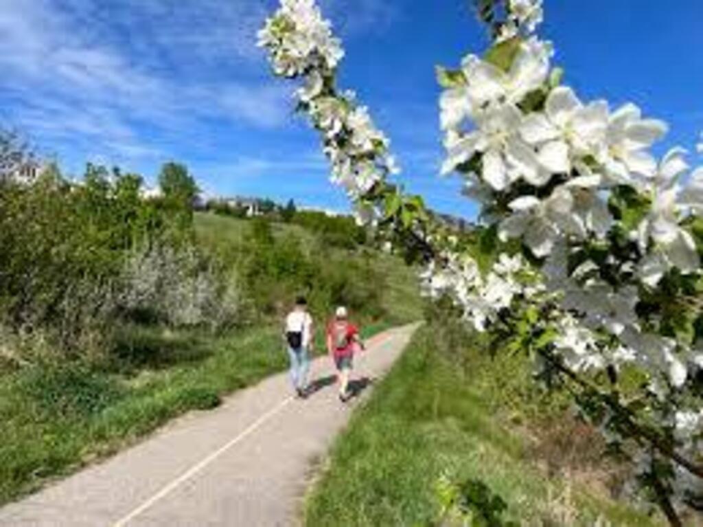 Pathway close to the house