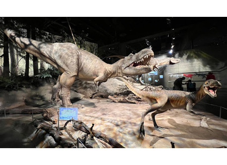 Royal Tyrell Museum in Drumheller
