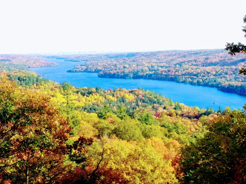 Hike with a lookout in neighbourhood