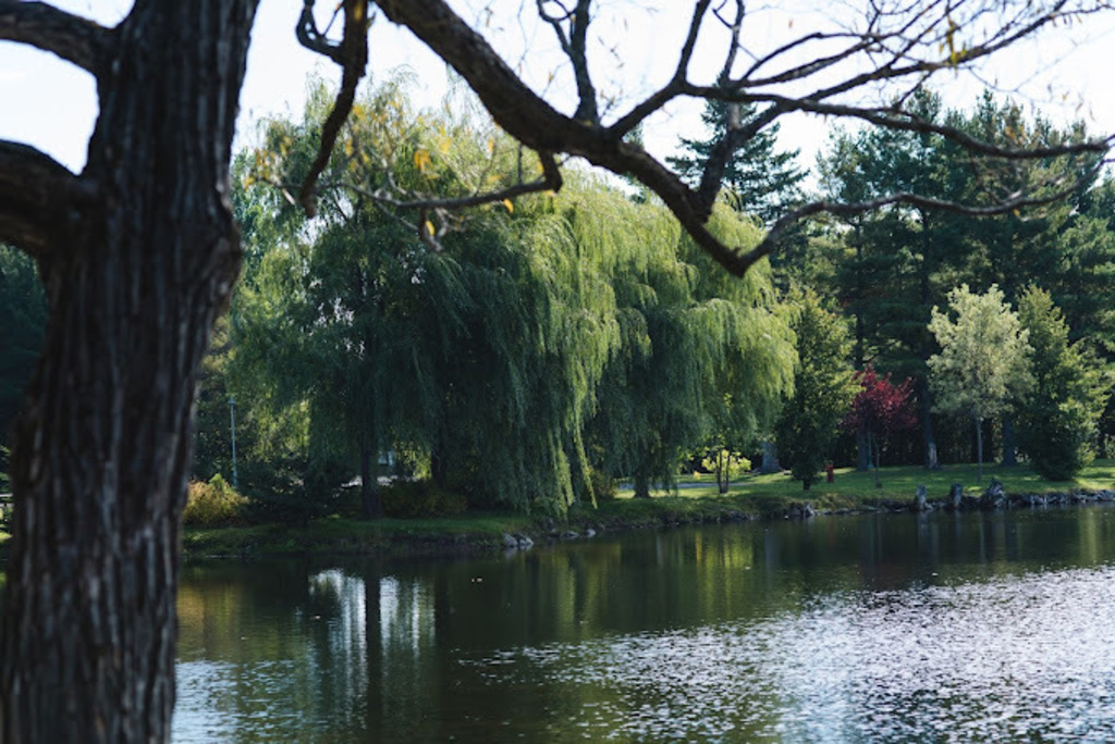 Parc du Grand Coteau