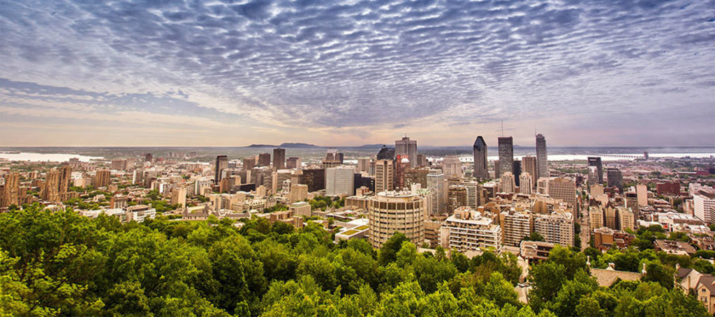 Vue du Mont-Royal