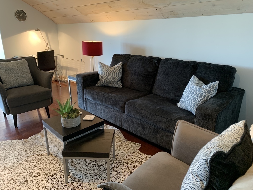 Open concept livingroom/kitchen area with pull out couch