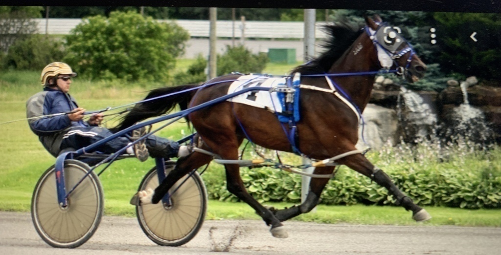 Horse racing at the casino