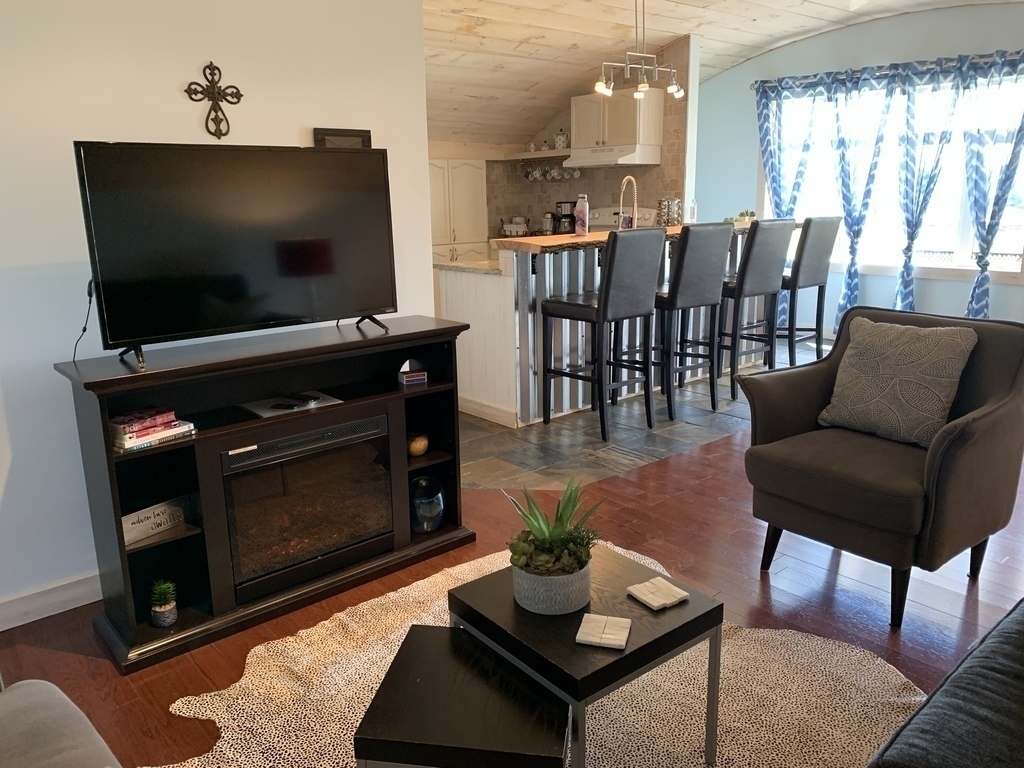 SMART tv and electric fireplace