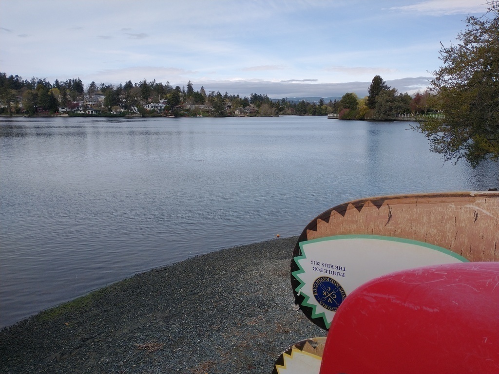 Gorge Waterway near Tillicum Rd.