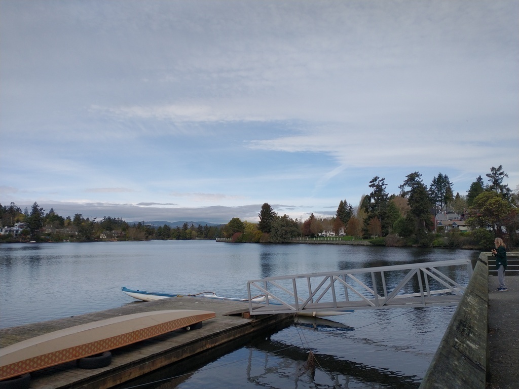 Gorge Waterway near Tillicum Rd.