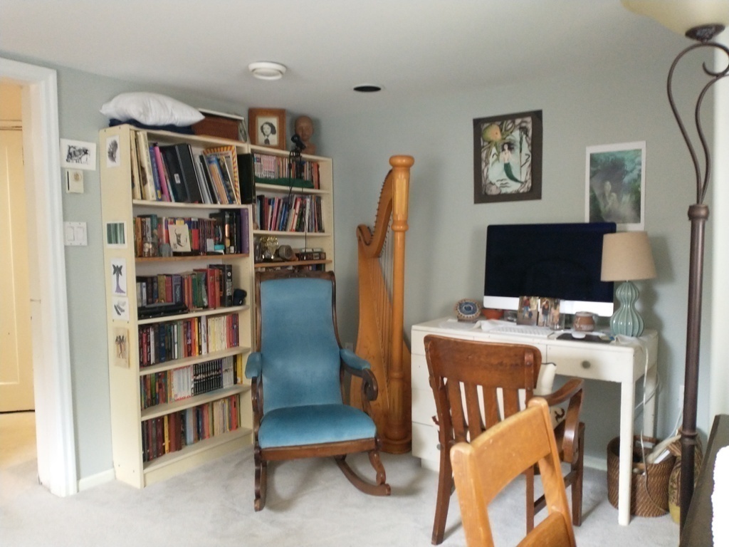 Downstairs bedroom