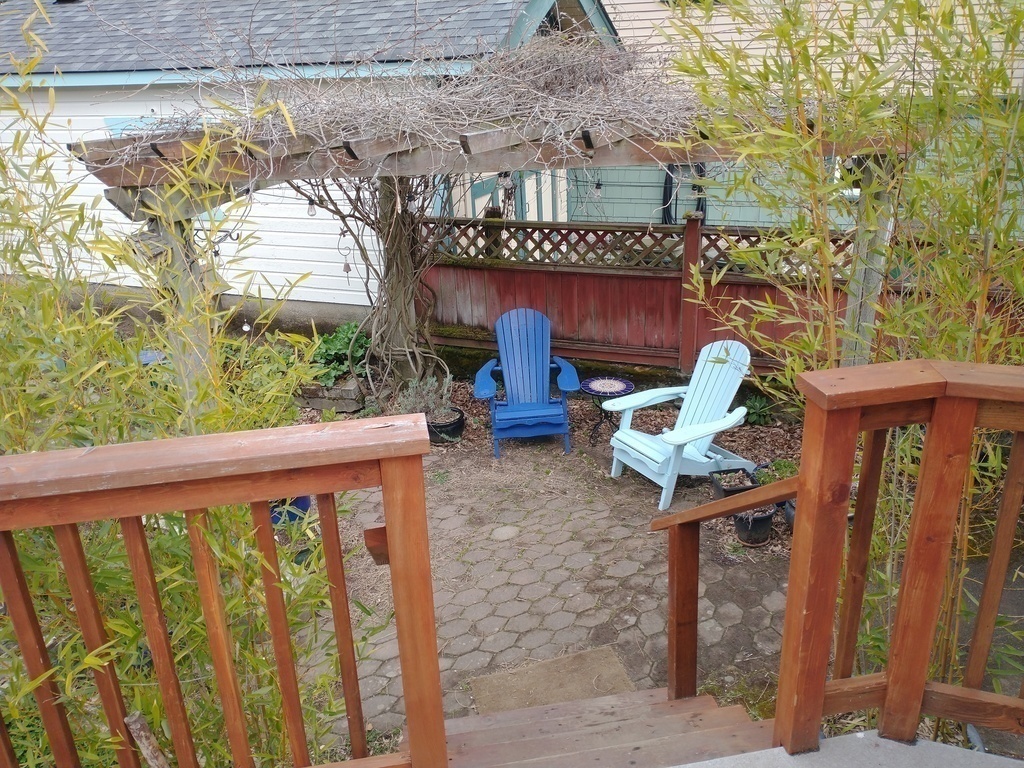 View from back deck onto patio under wisteria and clematis.