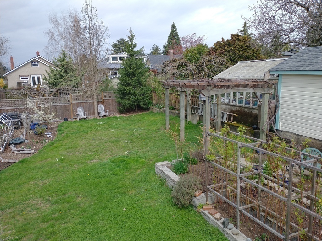 Backyard lawn, raspberry and blueberry patches.