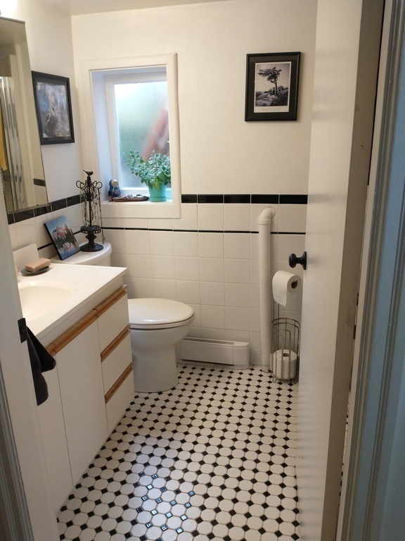 Downstairs bathroom adjacent to the downstairs bedroom