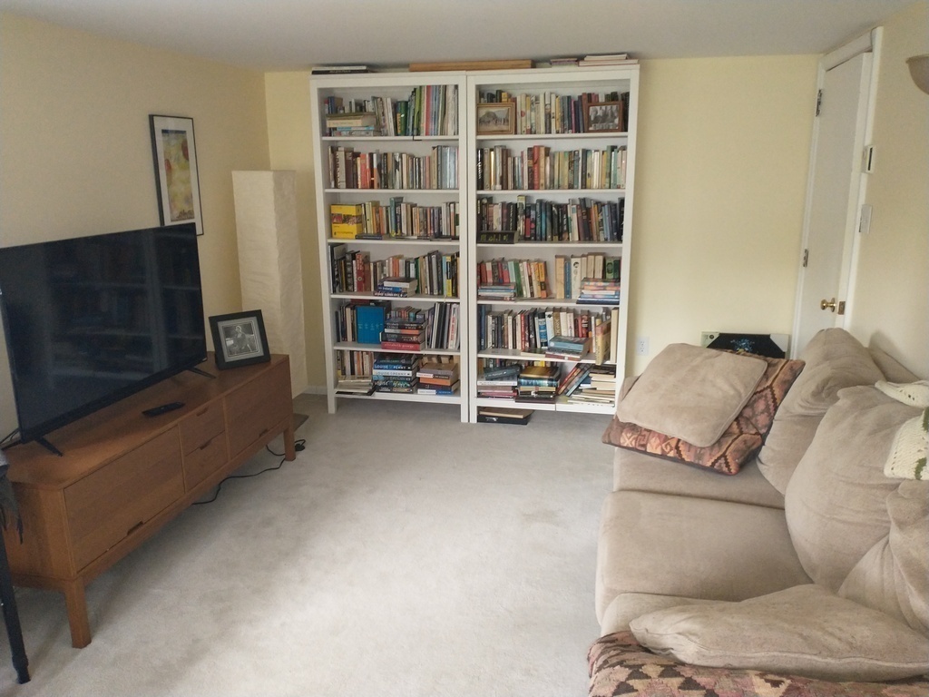 Downstairs rec room, 