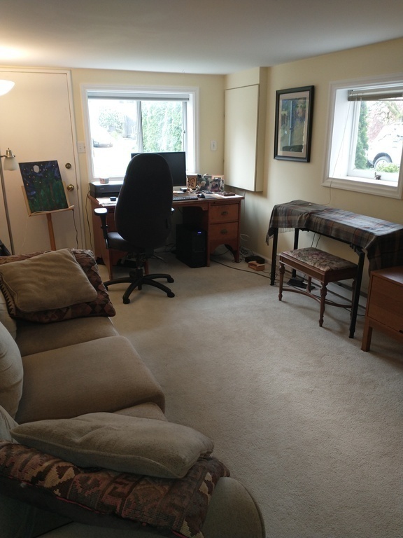 Downstairs rec room