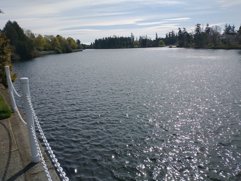 Gorge Waterway near our house