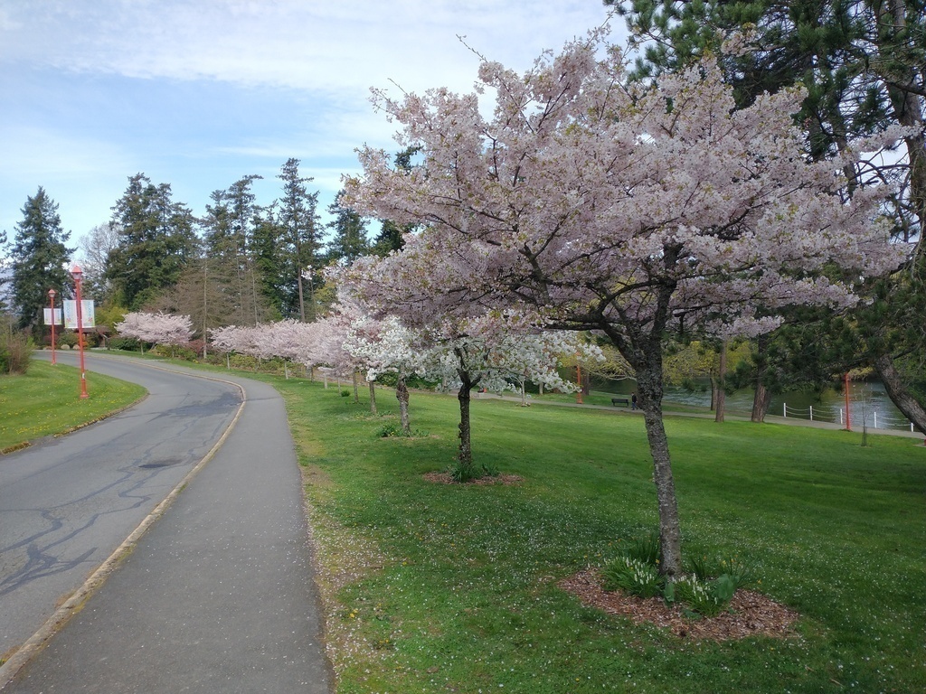 Esquimalt Gorge Park near Tillicum Rd.
