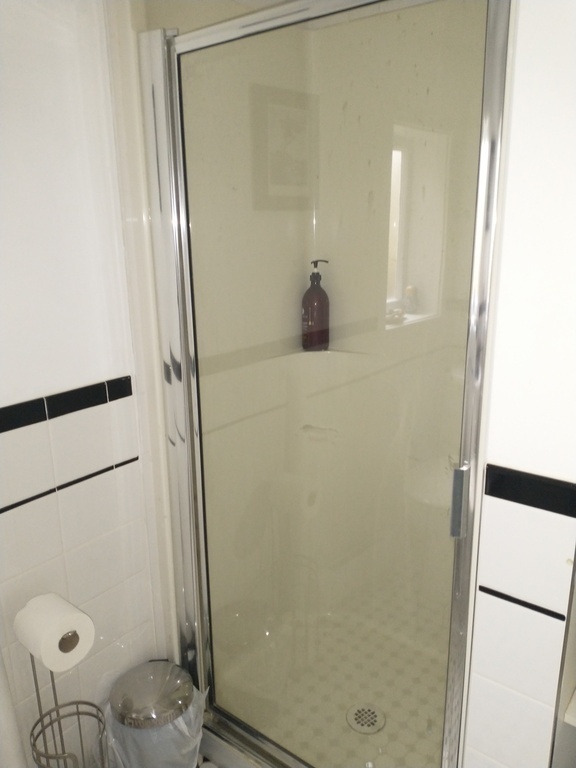 Downstairs bathroom shower
