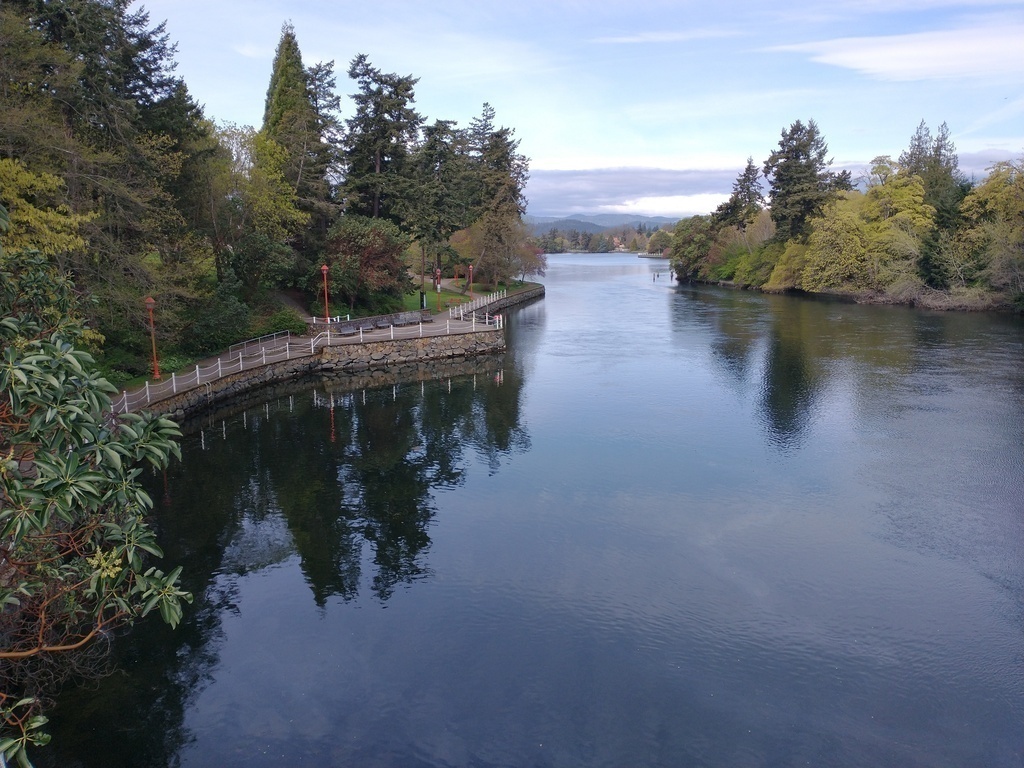 View of Gorge Waterway from Tillicum Rd. Bridge.