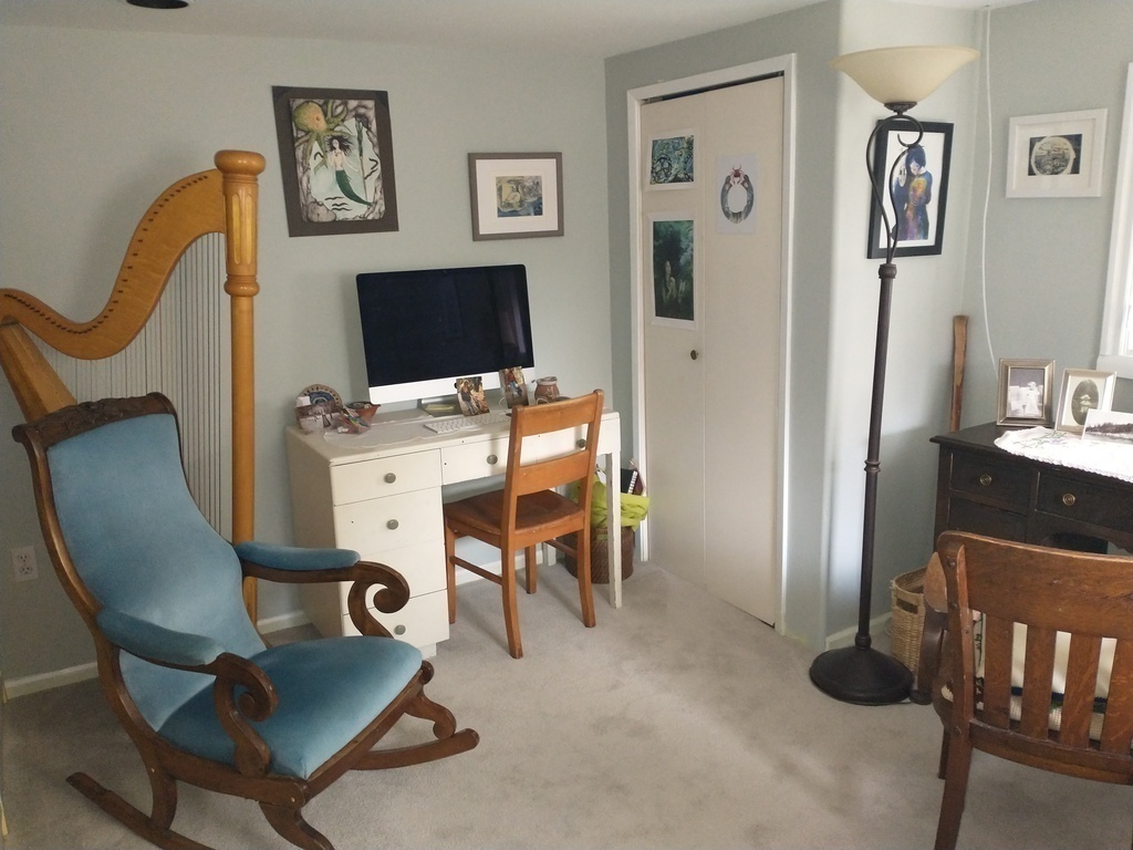 Downstairs bedroom