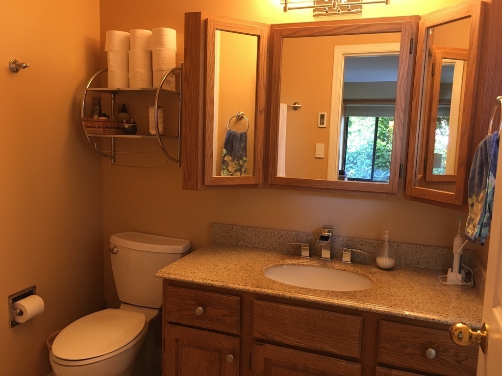 Master ensuite bathroom (includes shower)