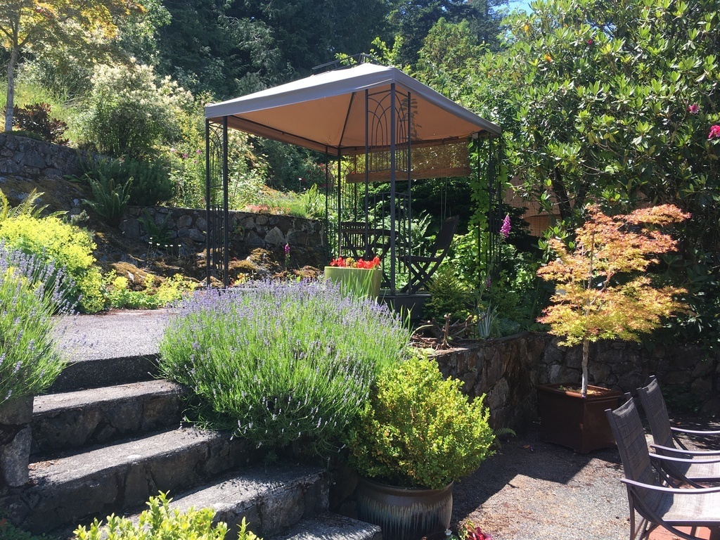 Part of the Back garden