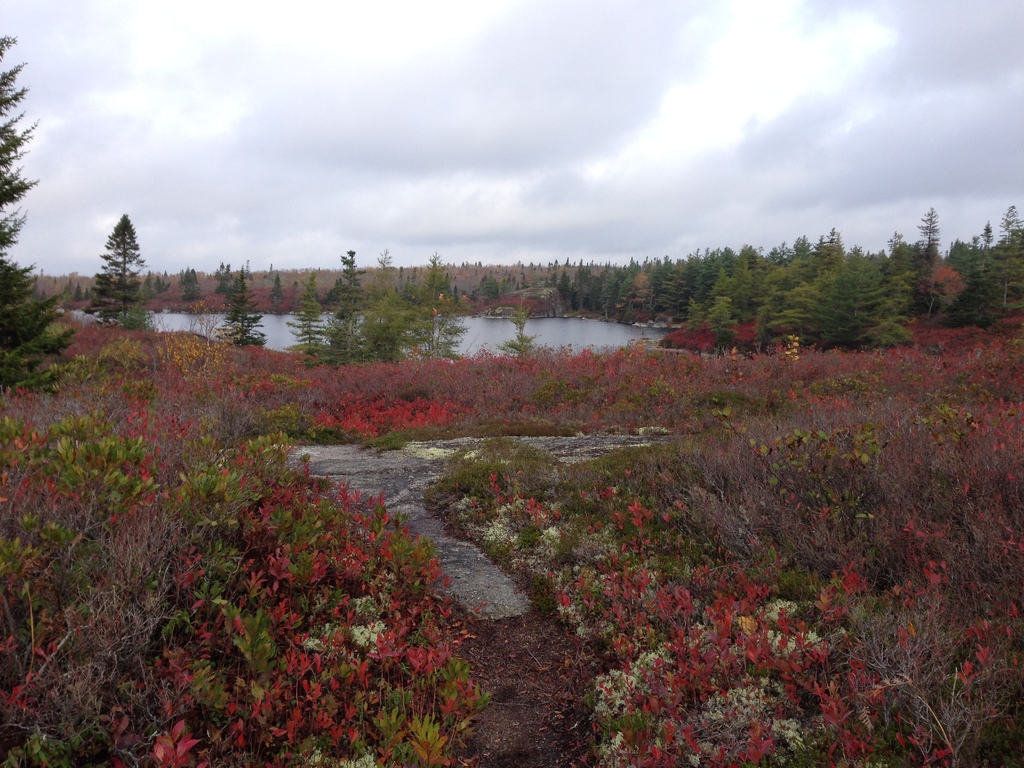 Fall hike at the Bluff Wilderness Trail (20 min drive)