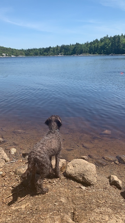 Cooling off after a hike with a swim at nearby Long Lake (15 min drive)