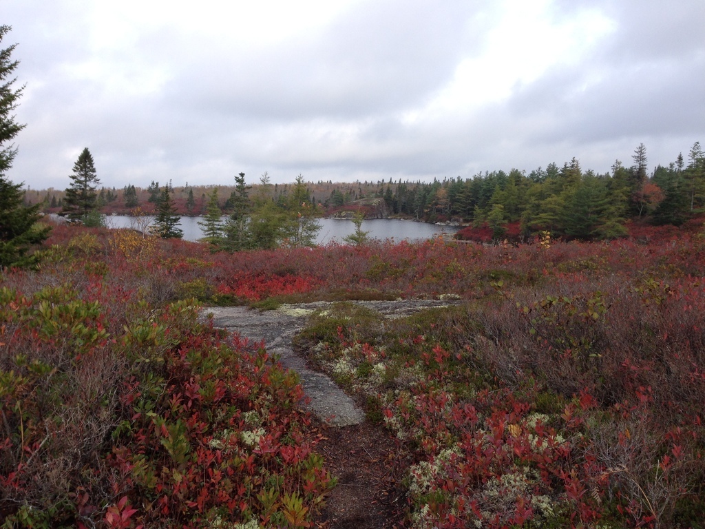 Fall hike at the Bluff Wilderness Trail (20 min drive)