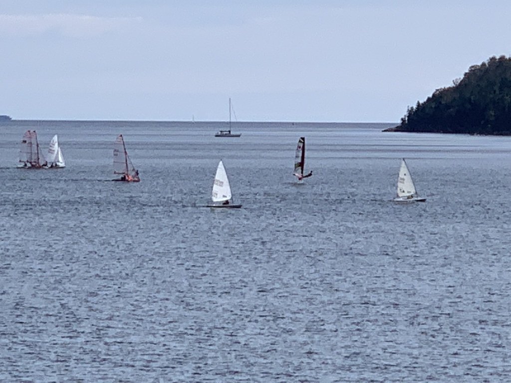 Sailing in the Northwest Arm (5 min walk)